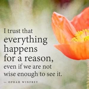 Meet your Posher, Carol